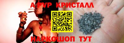 шишки Будённовск