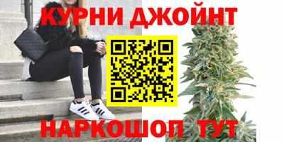 шишки Будённовск